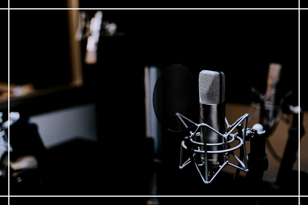 a black and white photo of a microphone in a recording studio